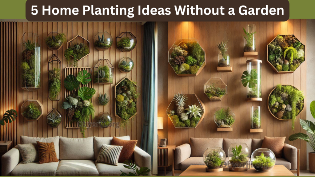 5 Home Planting Ideas Without A Garden
