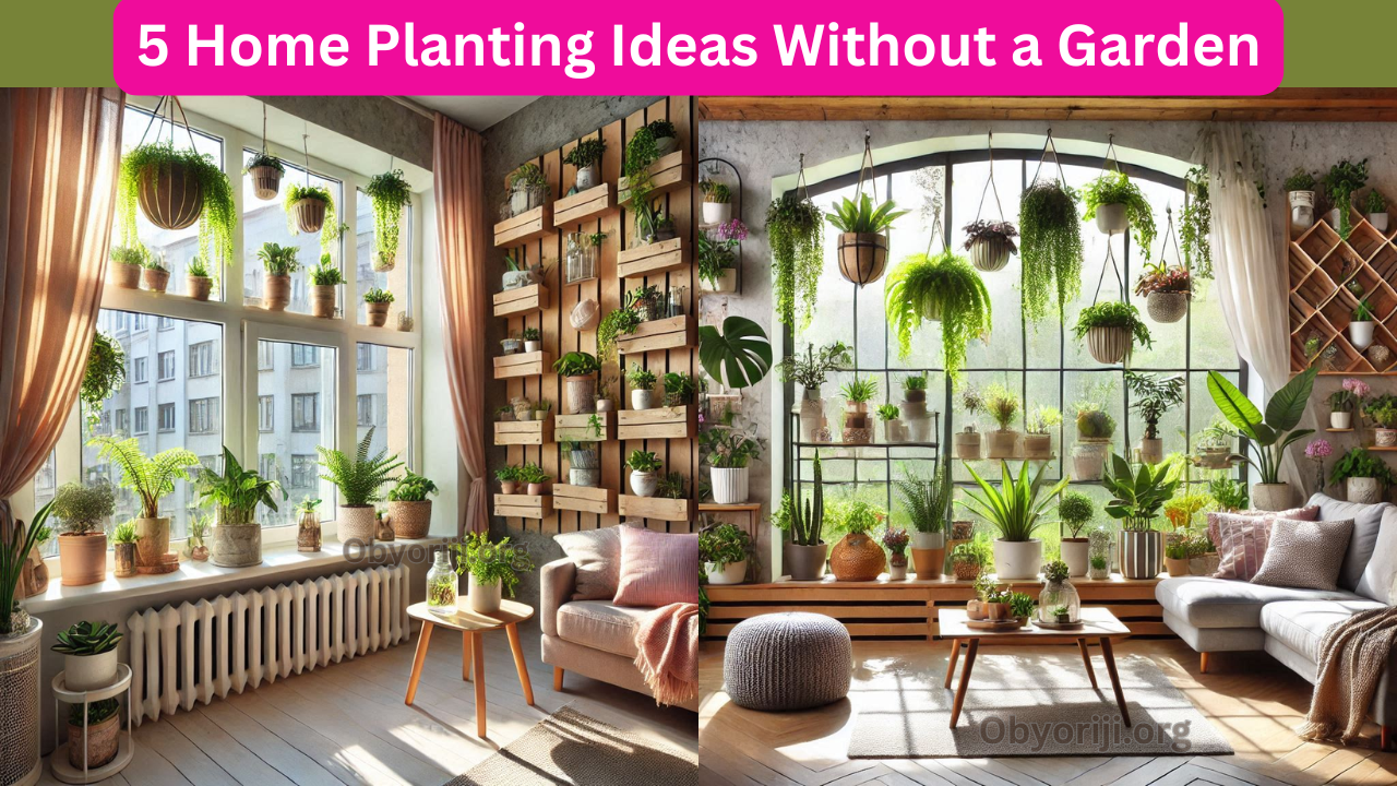 5 Home Planting Ideas Without A Garden