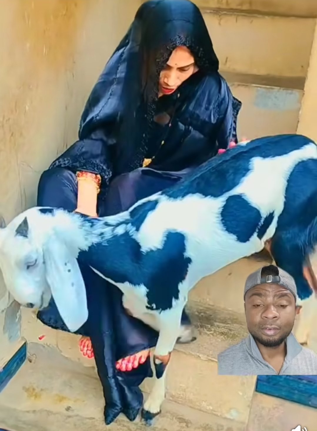 The Story Behind A Lady Breastfeeding A Mature Sheep
