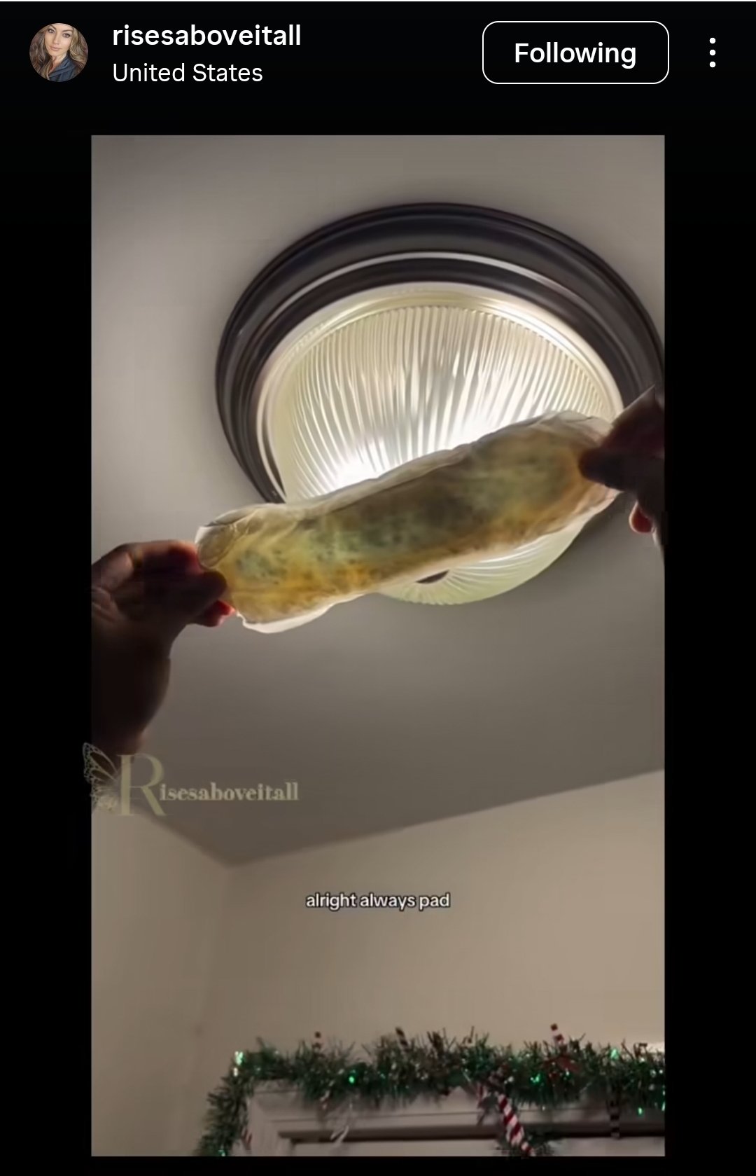 Couple finds intense mould build-up in unused pad